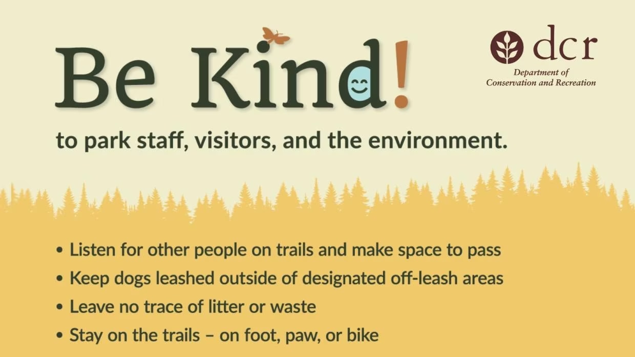 Graphic for the Be Kind campaign