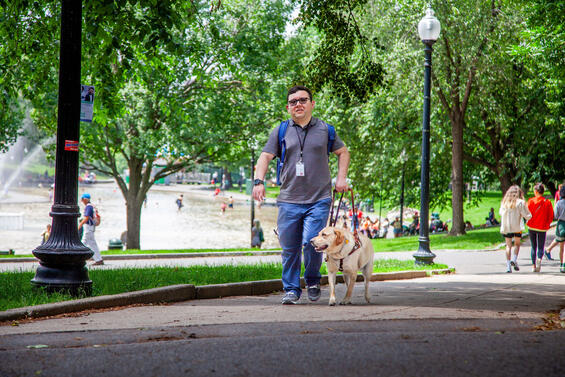 Man and his dog guide walking on a path in the Boston Common