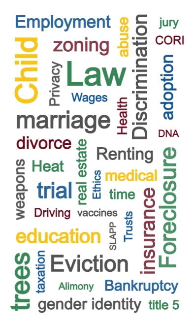 Word cloud of popular legal topics