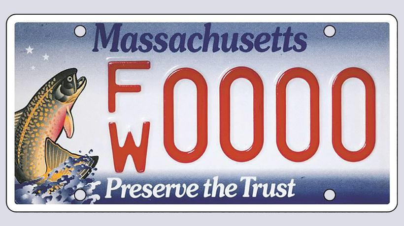 New funding to restore trout streams from specialty license plate