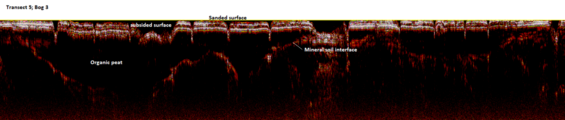 A ground penetrating radar scan.