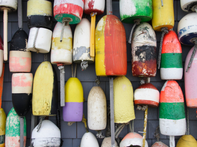 News and Annoucements